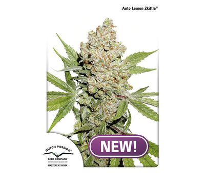 Auto Lemon Zkittle Феминизированные автоцветущие семена конопли