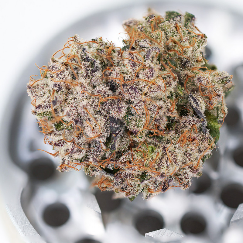 Dutch Passion Auto Mimosa Punch Автоцветущие феминизированные семена конопли — фото 2