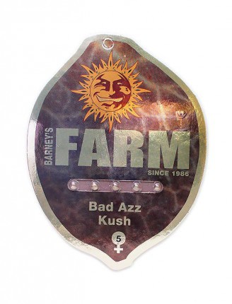 Bad Azz Kush Фотопериодные семена конопли — фото 4