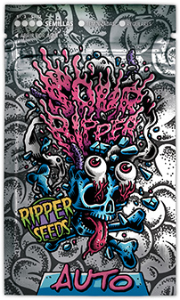 Sour Ripper Auto феминизированные автоцветущие семена конопли — фото 2