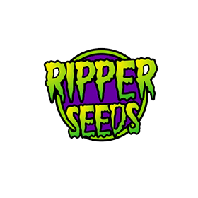 GMO x Purple Punch Фотопериодные феминизированные семена конопли