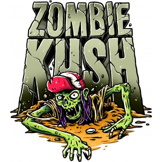 Zombie Kush Auto Автоцветущие семена конопли — фото 3
